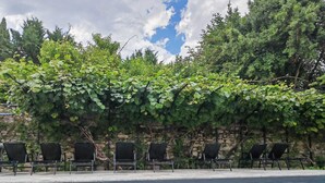 A poolside area with a row of chairs and a vine-covered wall. - Maison d'hôtes La Bellours (Cahors)
