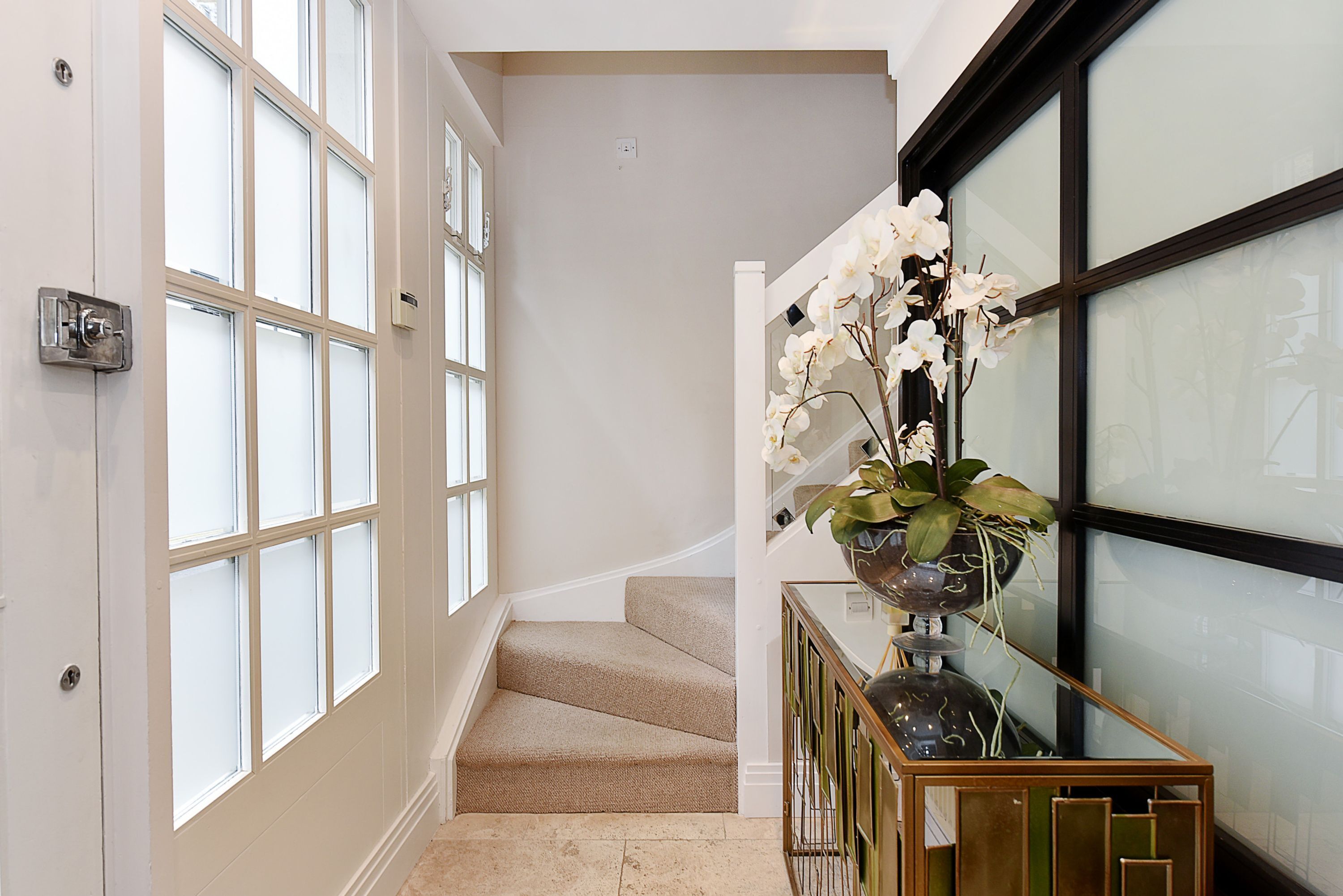 Una escalera con alfombra color crema, barandilla de vidrio y una planta de orquídea en maceta.