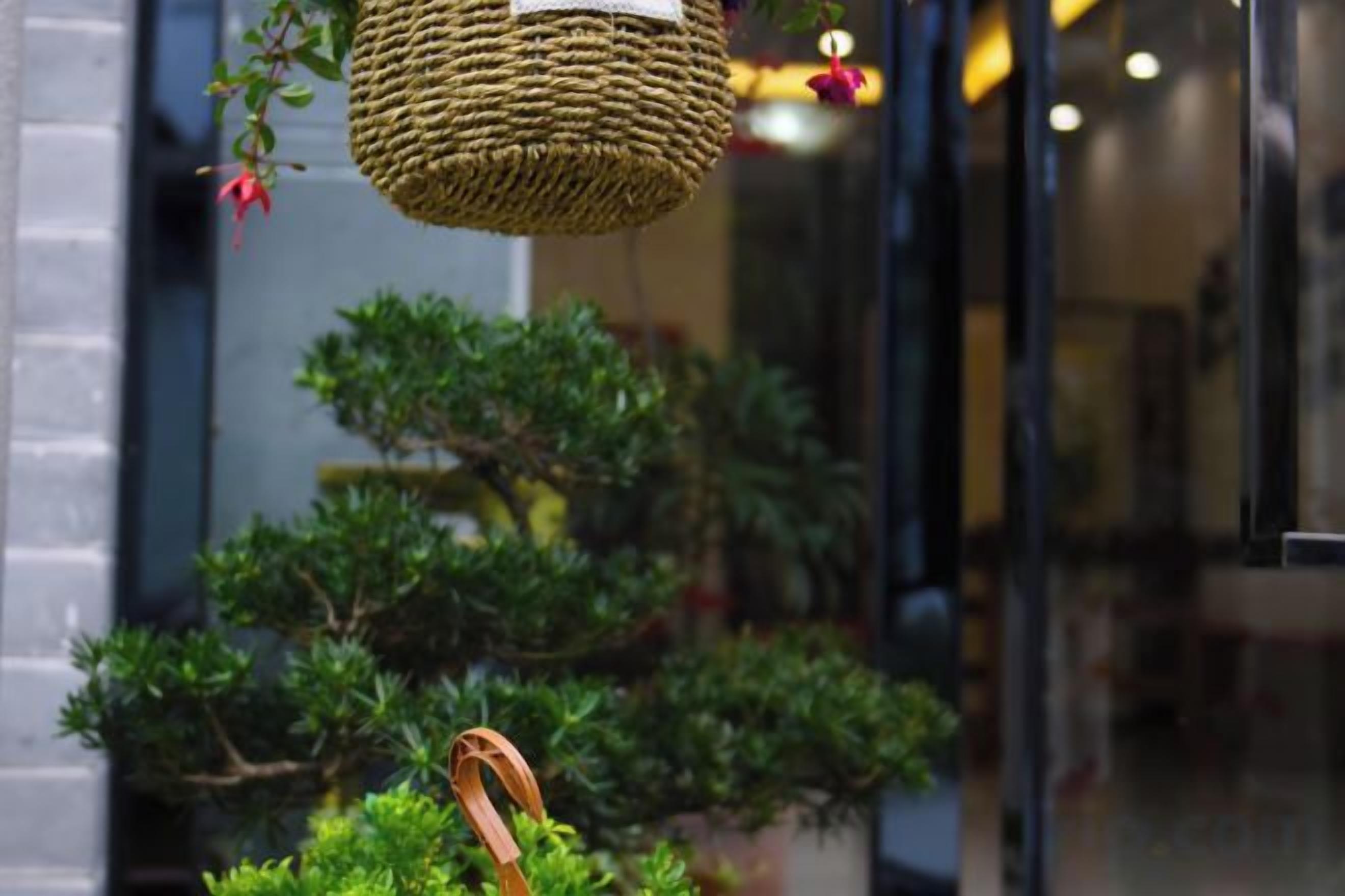 A hanging woven basket with a strap, a bonsai tree, and a blurred indoor background.