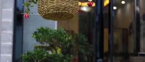 A hanging woven basket with a strap, a bonsai tree, and a blurred indoor background.