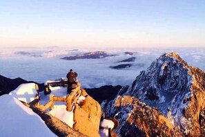 Miscellaneous - Wangyouju (Huangshan)