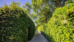 Un chemin de gravier bordé de haies et d’arbres soigneusement taillés, qui mène à un ciel d’un bleu limpide.