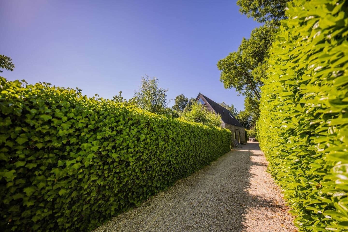 Área da propriedade