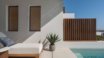 Un espace extérieur moderne aménagé avec des sièges, une piscine, un pot de fleurs et une clôture en bois.