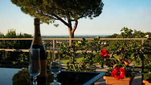 A table with a bottle and glass, a potted plant with red flowers, and a view of a tree and landscape. - Villa Anna (Santarcangelo di Romagna)