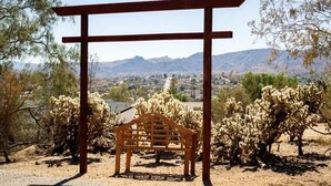 A wooden bench under a pergola with a desert landscape and mountains in the background. - Cozy 2-bedroom Retreat in Joshua Tree (Joshua Tree)