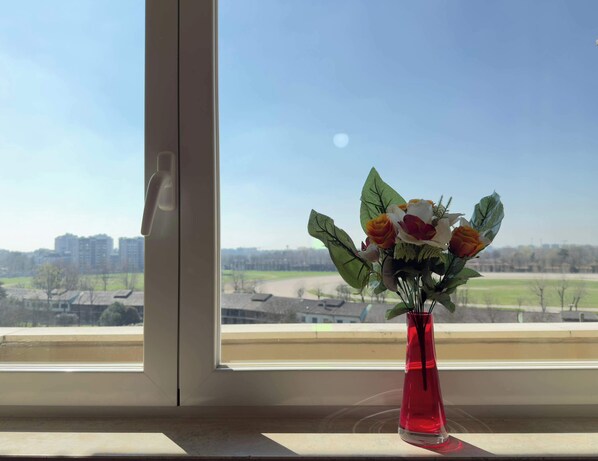 A vase with flowers on a windowsill, overlooking a cityscape.