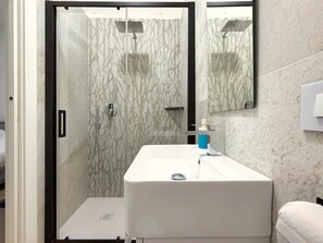 Douche, séchoir à cheveux, serviettes fournies, shampooing