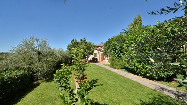 A well-maintained garden with a stone pathway leading to a building with a tiled roof.