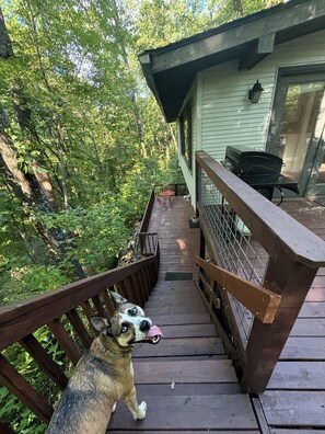 Outdoor dining - HOT TUB, FIRE PIT, DOGS WELCOME, 3 min from newly opened Chimney Rock.  (Lake Lure)
