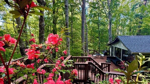 A wooden deck with outdoor seating, surrounded by lush greenery and trees. - HOT TUB, FIRE PIT, DOGS WELCOME, 2 MINUTES to LAKE LURE BEACH and CHIMNEY ROCK (Lake Lure)
