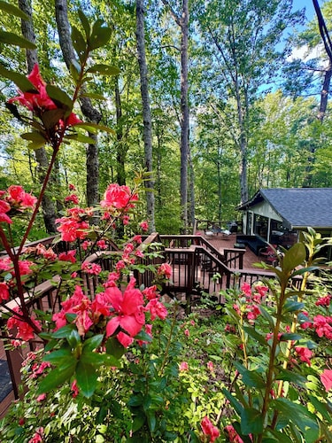HOT TUB, FIRE PIT, DOGS WELCOME, 2 MINUTES to LAKE LURE BEACH and CHIMNEY ROCK