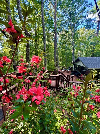 HOT TUB, FIRE PIT, DOGS WELCOME, 2 MINUTES to LAKE LURE BEACH and CHIMNEY ROCK