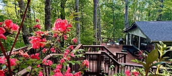 HOT TUB, FIRE PIT, DOGS WELCOME, 2 MINUTES to LAKE LURE BEACH and CHIMNEY ROCK