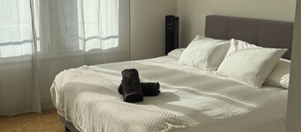 5th floor, charming 2-bedroom apartment , Centre of Geneva
