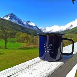 Terrace/patio - Phillipshaugen Lodge (Sunndal)