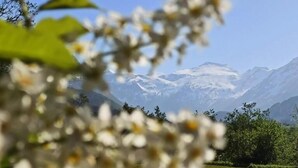 A mountain landscape with snow-capped peaks and a grassy foreground.