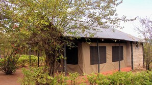 A rustic, single-story building with a corrugated metal roof, surrounded by dense greenery and small shrubs. - Eco mara forest camp  (Meru)