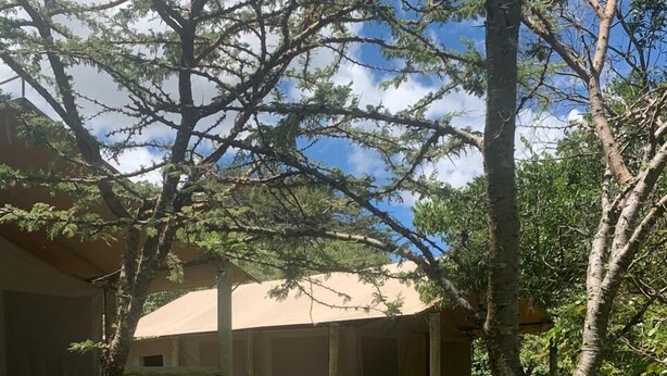 A covered outdoor area with a stone wall and a wooden structure. - Eco mara forest camp  (Meru)