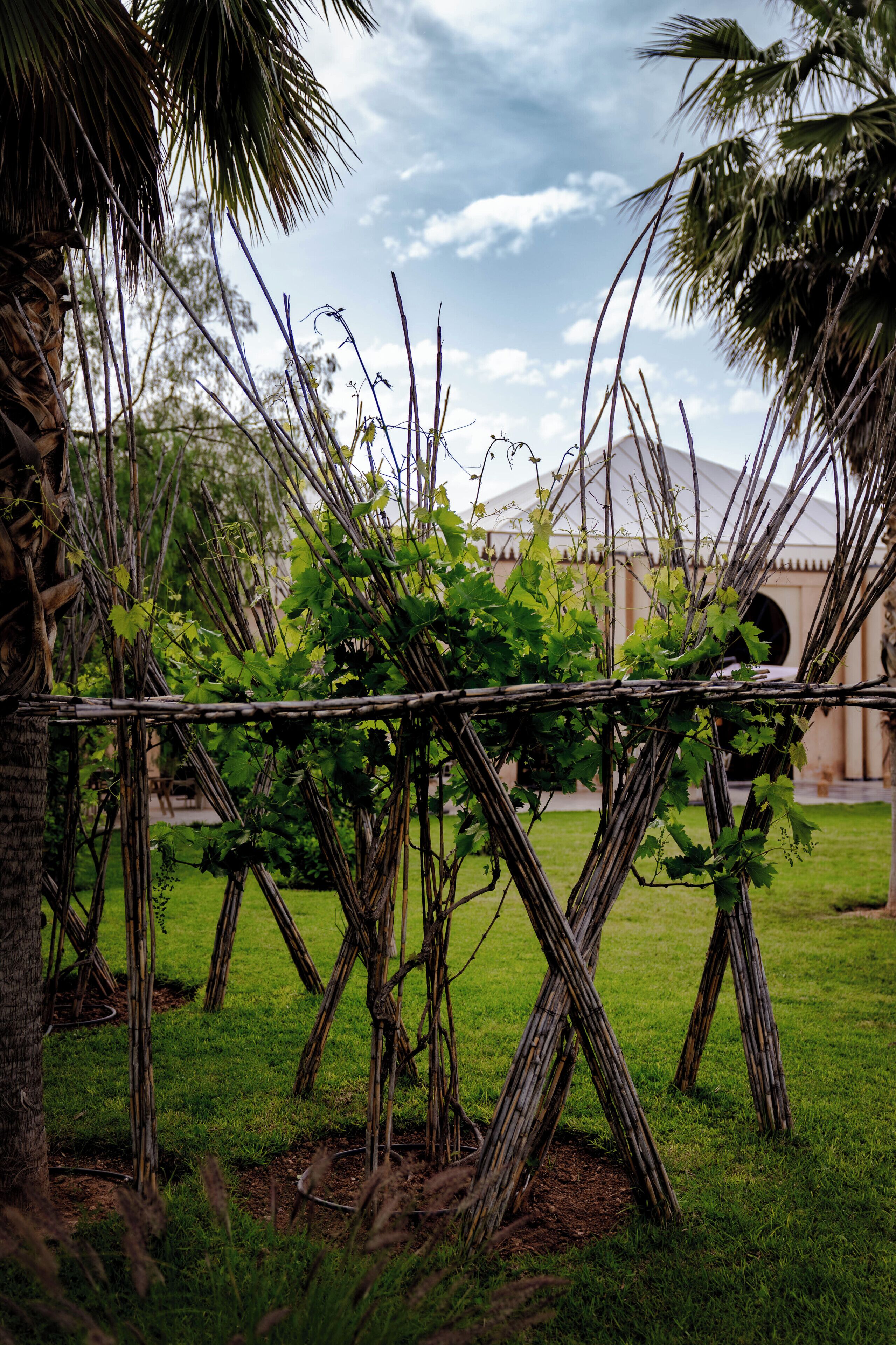 Foto - Palais Nouhass