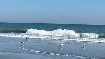 Serviettes de plage