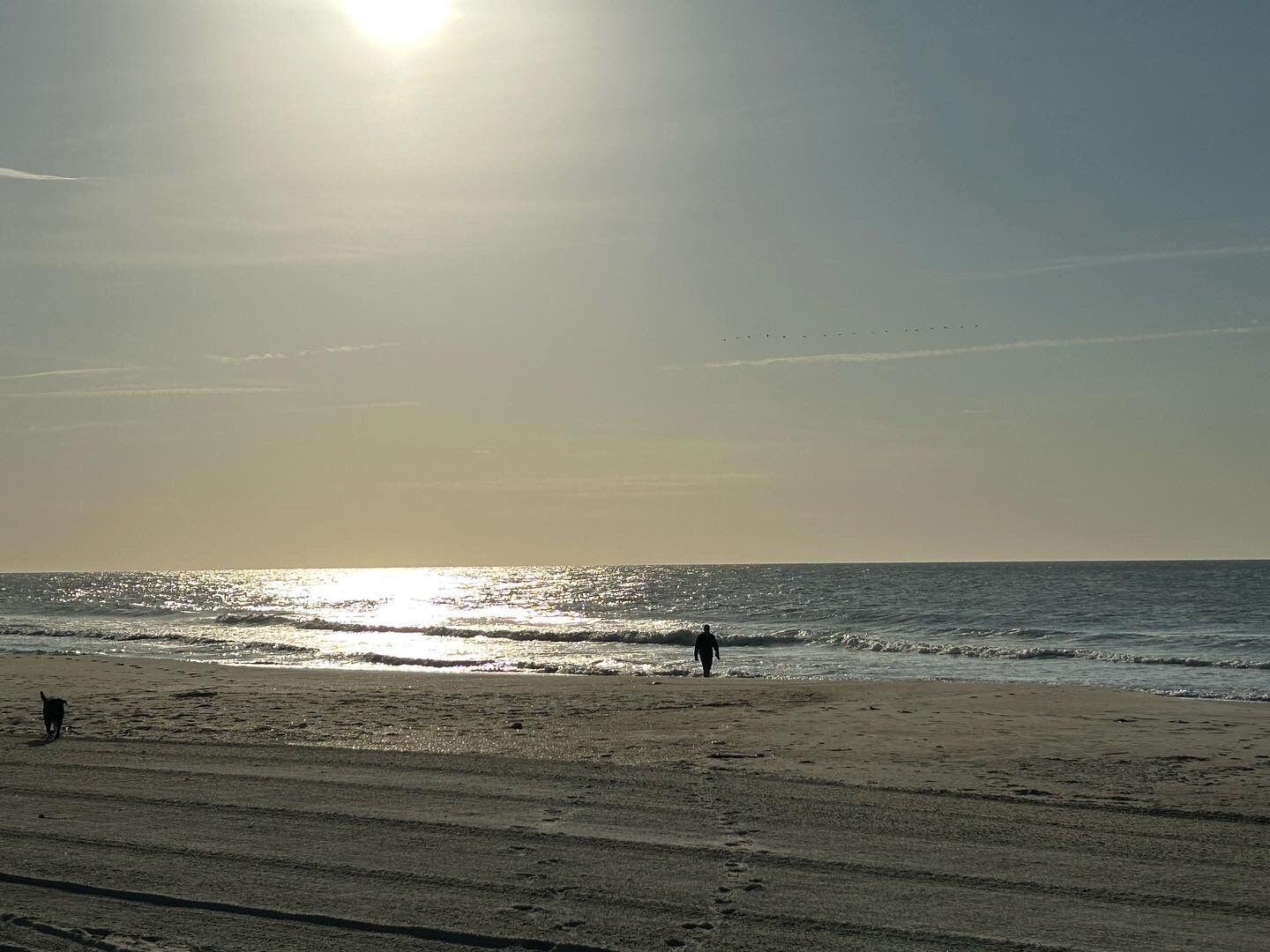 A beach with a person walking and a dog.