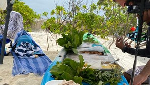 A beach setup with a table covered with a blue tarp, containing wooden utensils, a green bottle, and leafy greens. - Navaya Dhiffushi (Dhiffushi)