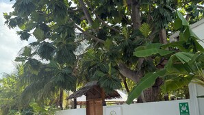A building with a white wall, a wooden door, and a sign that reads "Navaya Dhifushi". - Navaya Dhiffushi (Dhiffushi)