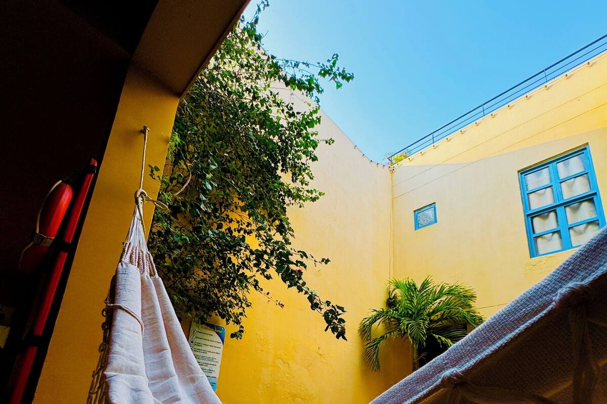 A hammock in a yellow-walled courtyard with a blue window and a tree.