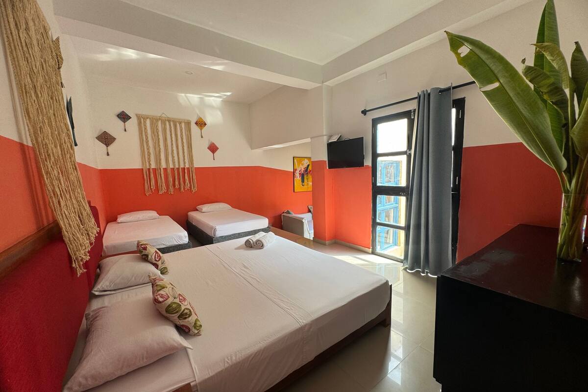 A hotel room with two beds, a TV, a large window with curtains, and a plant.