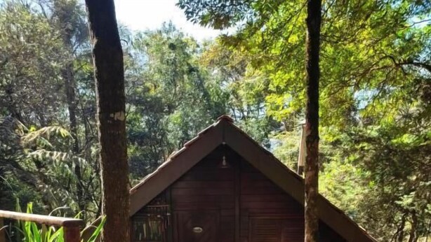 Une cabane en bois avec un toit de chaume, entourée d’une végétation luxuriante et dotée d’une terrasse en bois.