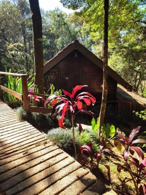 Terrein van de accommodatie