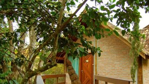 Un bâtiment rustique en briques, doté d’une porte en bois et d’un toit de chaume.