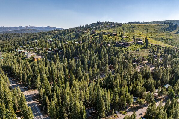 An aerial view of a forested area with scattered houses and a road.