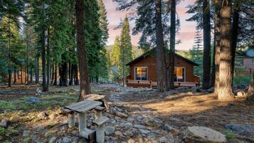 A cabin surrounded by tall pine trees with a stone pathway leading to it.
