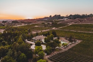 A vineyard estate with a large house surrounded by lush greenery and terraced fields. - La Barrique by Avantstay Secluded 14 Acre Estate w Vball Pool (Temecula)