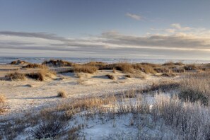 Apartment | 3 bedrooms - 11E Mariners Walk by Avantstay Ocean Views Beachfront Living Shared Pool (Isle of Palms)