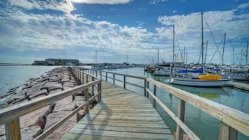 獨棟房屋 | 3 間臥室