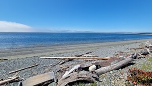 Ein Kiesstrand mit angeschwemmten Ästen und Baumstämmen.