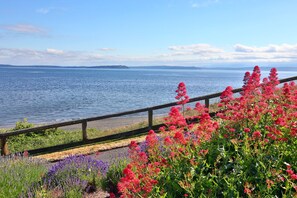 House - Mutiny Bay Condo by Avantstay Walk to the Beach (Freeland)