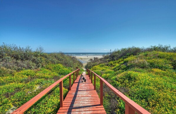 House | 1 bedroom - Beach Bungalow by Avantstay Walk to Beach Pool (Port Aransas)