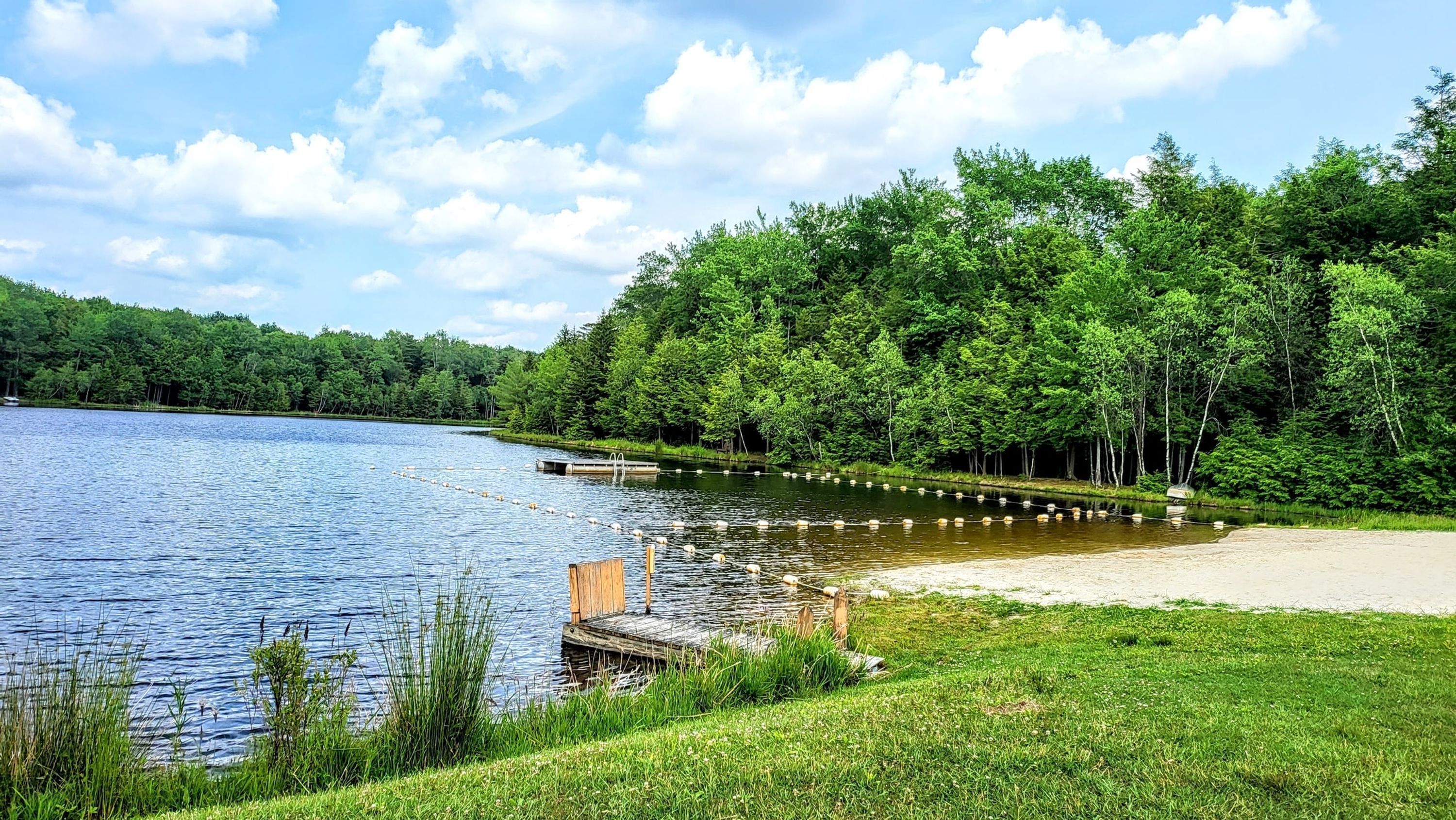 Vista para um lago com um píer, margens gramadas e floresta densa.
