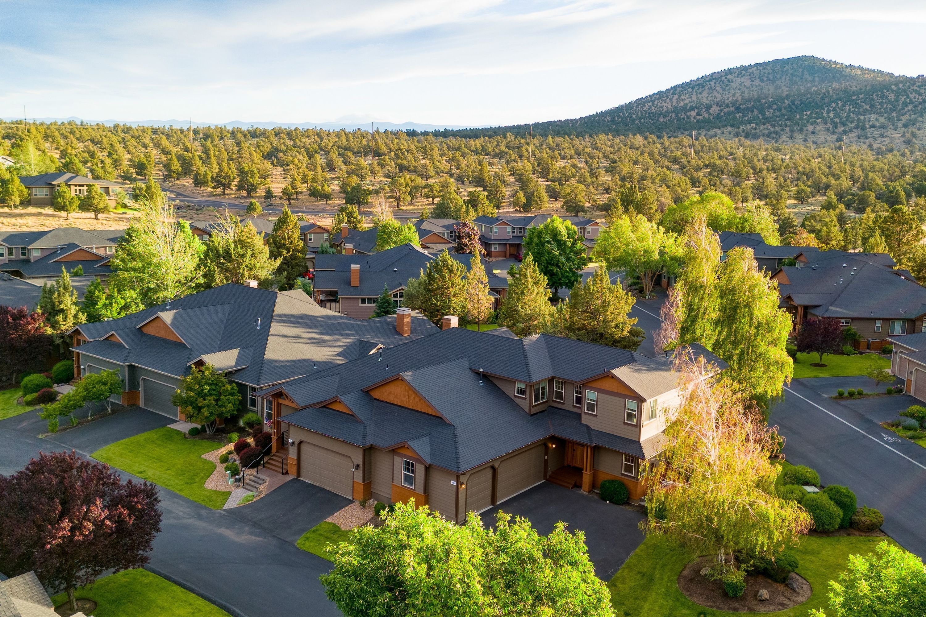 A residential area with houses, green lawns, and trees.