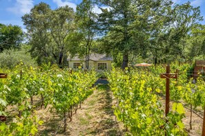 Room - Grapevine Cottage by Avantstay Hobby Vineyard Firepit (Glen Ellen)