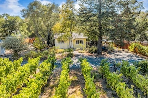 Room - Grapevine Cottage by Avantstay Hobby Vineyard Firepit (Glen Ellen)