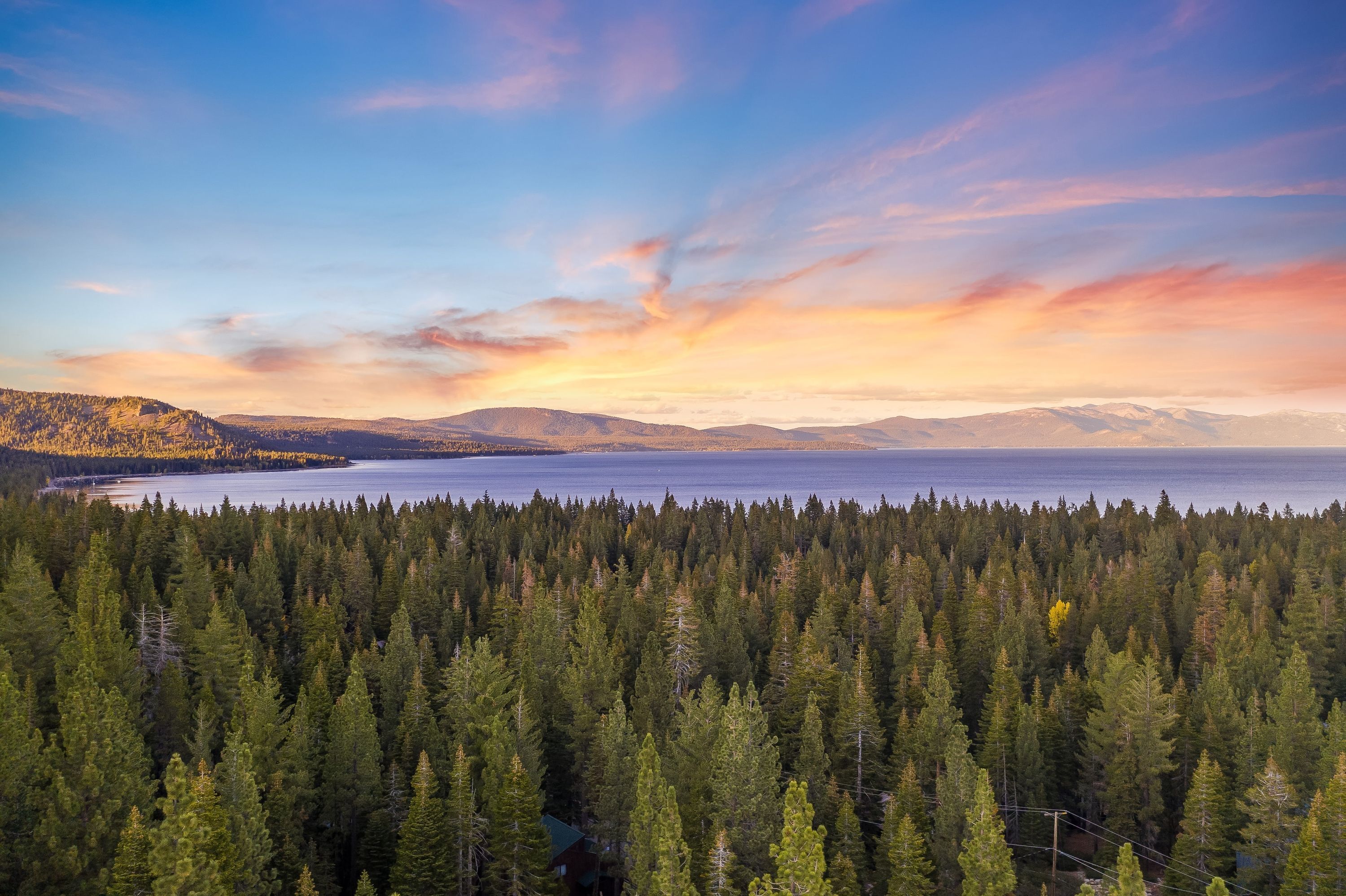 A dense forest with a lake and mountains in the background.