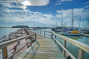 Stroll along the pier to the marina, where boats are docked.