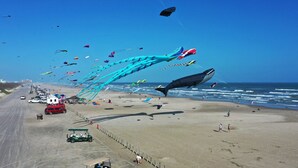 En strand med en stor drake formad som en val, en golfbil och en rad parkerade bilar längs strandkanten.