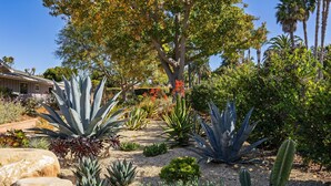 A garden with large agave plants, a tree with red flowers, and a building in the background. - Hummingbird Haven by Avantstay Dog-friendly Near the Beach Huge Yard Hot Tub (Santa Barbara)