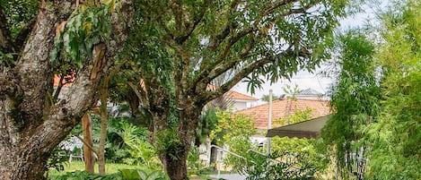 A lush garden with a variety of plants and flowers, a large tree, and a pathway leading to a building with a tiled roof.